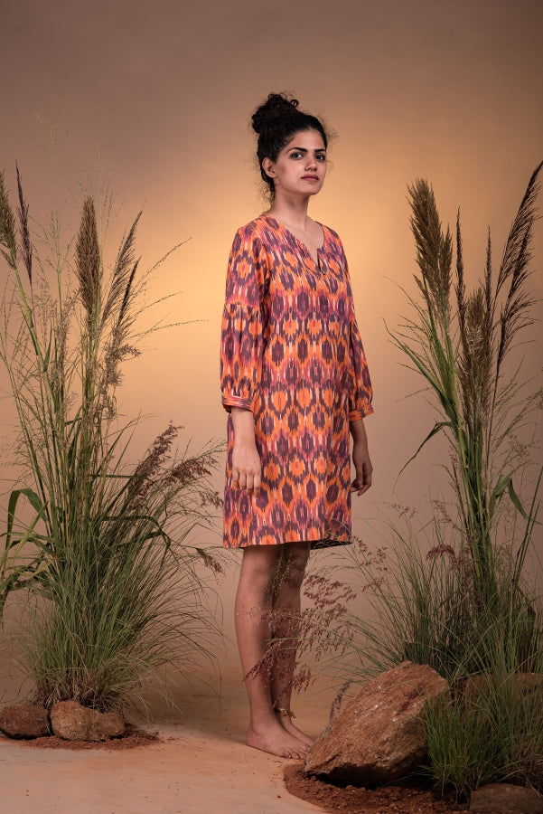 Jamboree Gathered Sleeve Dress